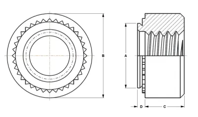 CFH_CFHN 2D