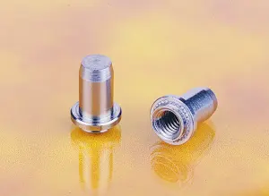 PEMSERT® Self-Clinching Stainless Steel Flush Nuts for Thin Metal Sheets  Provide Strong Threads Without Protruding or Marring Assemblies - Zygology  Ltd